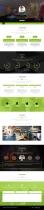 Emerald CV - WordPress Resume Theme Screenshot 1