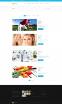 Bergen Multi-purpose Business HTML5 Template Screenshot 4