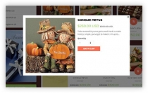 Giftshop Shopify Theme Screenshot 3