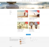 Booking Travel WordPress Theme Screenshot 4