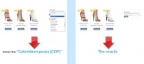 FCF - Foreign Currencies Handling Facilitator Screenshot 7