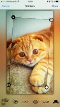 PhotoXo - iOS Photo Editor App Template Screenshot 6