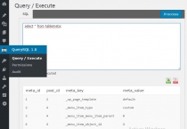 WP QuerySQL - WordPress Plugin Screenshot 2