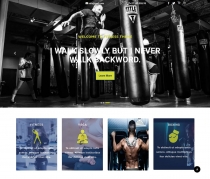 VW Fitness Pro - WordPress Theme Screenshot 1