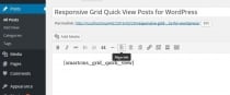 Responsive Grid Quick View Posts for WordPress Screenshot 6