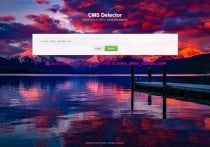 Simple CMS Detector Script Screenshot 3
