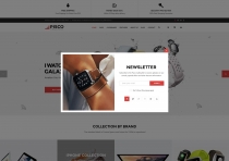 Pisco - Responsive Digital WooCommerce Theme Screenshot 3