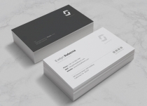 Professional Business Card Vol 04 Screenshot 2