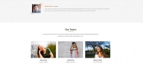 NANDINI - One Page Business html Template Screenshot 4