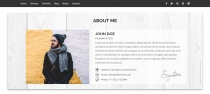 Inception - Personal Portfolio Template Screenshot 3