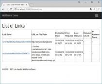 .NET Link Handler Screenshot 16