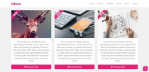 iShow - HTML Template Screenshot 3