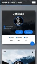Modern Profile Cards HTML CSS Screenshot 2