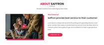 Saffron - Multi-Purpose HTML Template Screenshot 3