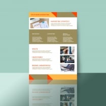 Professional Marketing Flyer 2 Templates A4 Screenshot 3