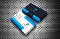 Professional Business Card v2 Screenshot 1