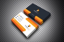 Professional Business Card v2 Screenshot 3