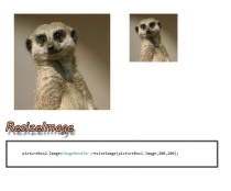 ImageManager .NET Library Screenshot 13