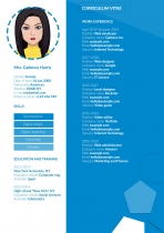 Professional CV Resume Screenshot 1