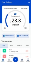 Ion Banking - Ionic 5 Banking App UI Theme Screenshot 5