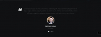 Larson Personal Portfolio Template Screenshot 5