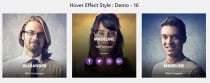 Ja Hover Widget Effect CSS Screenshot 12