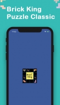 Brick King - Android Source Code Screenshot 1