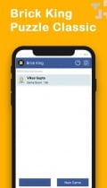 Brick King - Android Source Code Screenshot 4