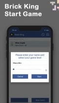 Brick King - Android Source Code Screenshot 5