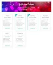 Brilliant Hosting Cart - WHMCS Order Form Template Screenshot 6