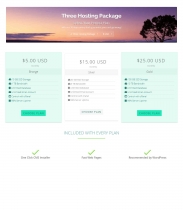 Flat Hosting Cart - WHMCS Order Form Template Screenshot 4