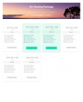 Flat Hosting Cart - WHMCS Order Form Template Screenshot 6