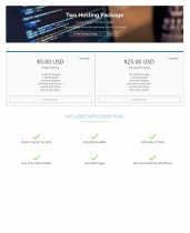 Modern Hosting Cart - WHMCS Order Form Template Screenshot 3