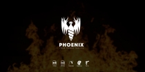 Phoenix Logo Screenshot 1