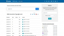 Dekho - Domain WHOIS and DNS Lookup PHP Script Screenshot 4