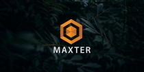 Maxter Logo Template Screenshot 1