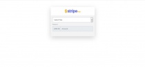 Stripe Pay - Create Dynamic Plan and Accept Paymen Screenshot 1