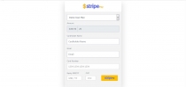 Stripe Pay - Create Dynamic Plan and Accept Paymen Screenshot 8