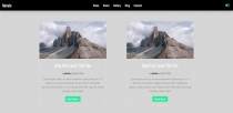 Morate - Blog Web Template Screenshot 15