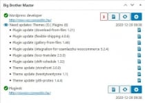 Big Brother - Managing Multiple WordPress Sites Screenshot 5