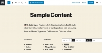 SEO Auto Pages - WordPress Plugin Screenshot 6