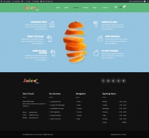 Juicebar Pro WordPress Theme Screenshot 3