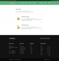 Juicebar Pro WordPress Theme Screenshot 4