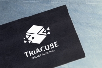 Triangle Cube Logo Screenshot 2