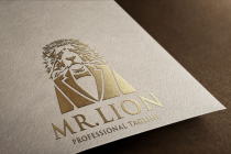 Mr Lion Logo Screenshot 2