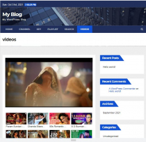 GetTube - WordPress YouTube Gallery Plugin Screenshot 3