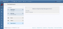 ProjectAce - Project and Client Management System Screenshot 2