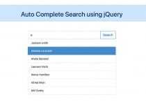 Auto Complete Search using jQuery Screenshot 1