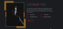 Tona - Personal Portfolio HTML5 Template Screenshot 3