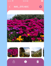 iOS Album Gallery Source Code Screenshot 3